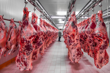 Производство мяса в России выросло на 7,3 процента